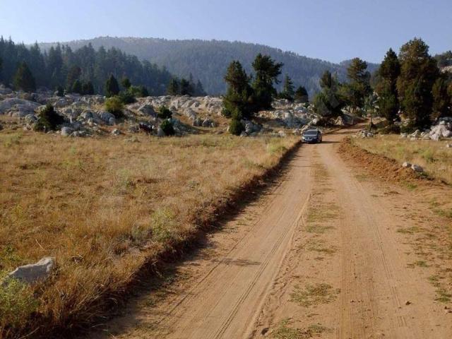 Akçalıuşağı, Kozan içerisinde satılık mülk