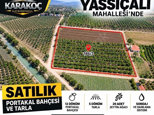 Yukarı Kayhan, Kozan içerisinde satılık mülk