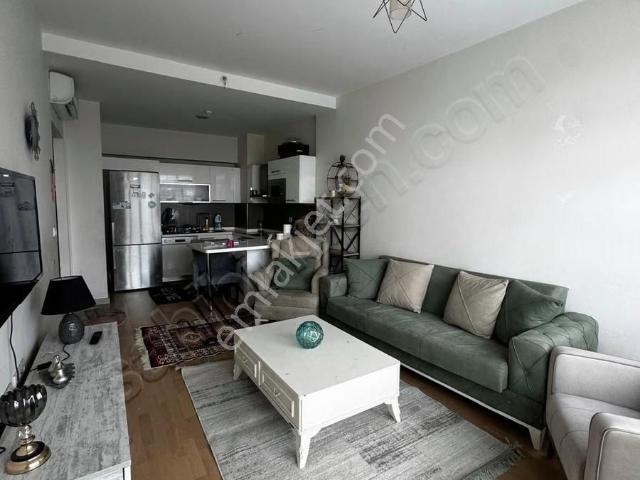 İstanbul içerisinde kiralık mülk