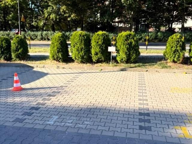Mieszkanie do wynajęcia w Wojska Polskiego, Gliwice