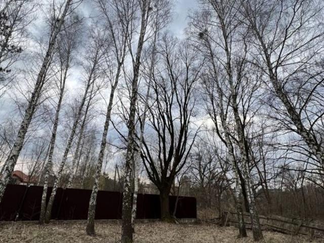 Участок продажа в Макаровский, Вологодская область