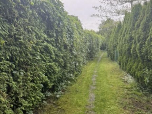 Grunt na sprzedaż w Kraków, Małopolskie