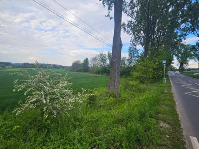 Grunt do wynajęcia w Kraków, Małopolskie
