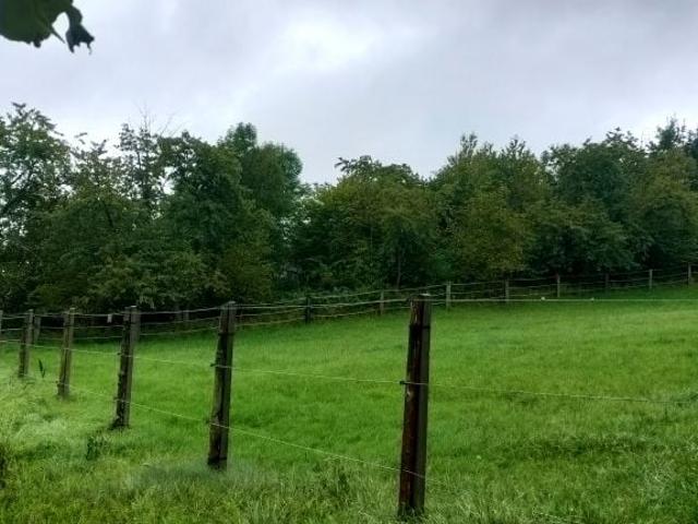Grunt na sprzedaż w Michałowice, Małopolskie