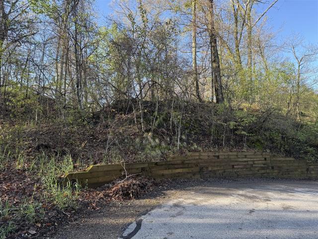 Land for sale in Bridgman, Michigan