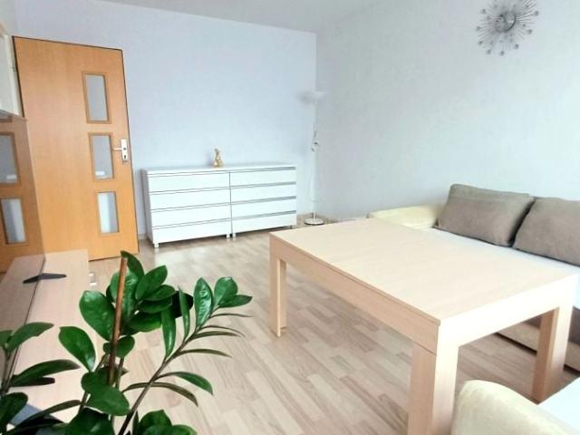 Mieszkanie do wynajęcia w Świętochłowice, Śląskie