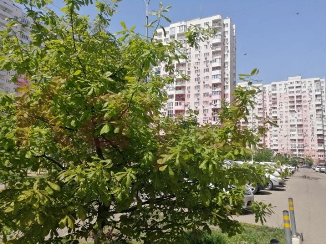Квартира продажа в Березовый, Краснодарский Край