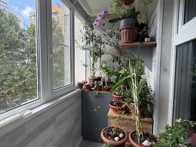 Квартира продажа в Березовый, Краснодарский Край