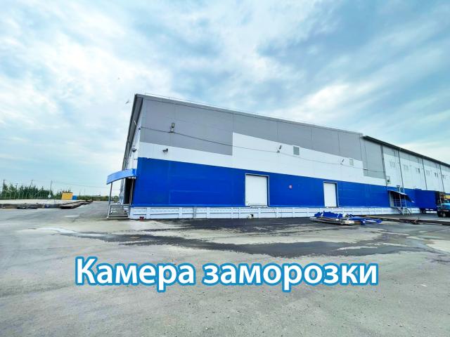 Квартира аренда в Красное Село