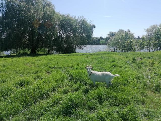 Квартира продажа в Красносельское, Краснодарский Край