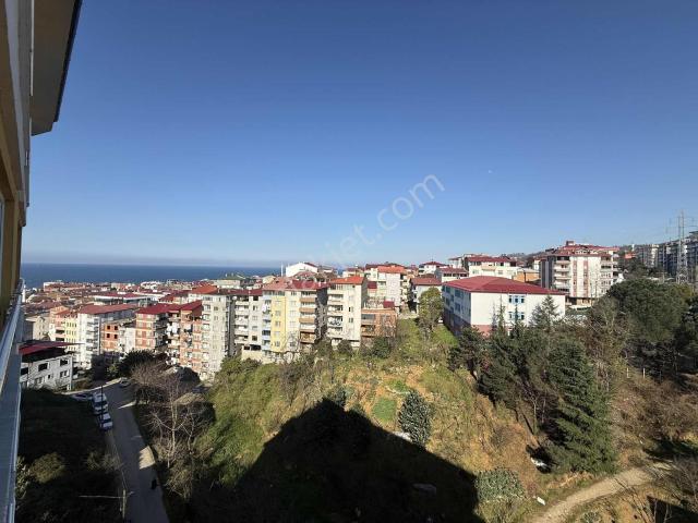 İhsaniye, Bulancak içerisinde satılık mülk