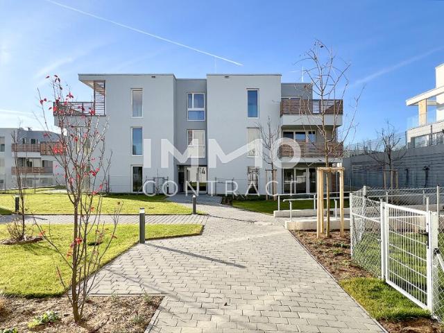 Wohnung kaufen in Krems an der Donau