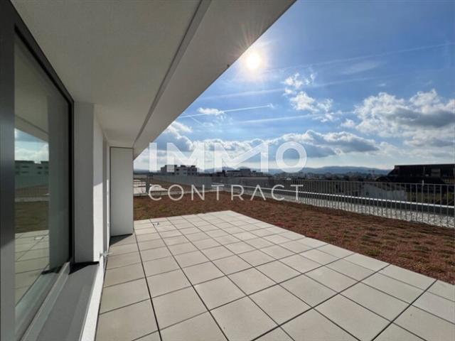 Terrassenwohnung kaufen in Krems an der Donau