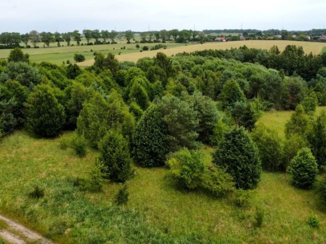 Grunt na sprzedaż w Gniewino, Pomorskie