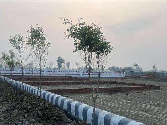 Land for sale in Lakhana, Arunachal Pradesh