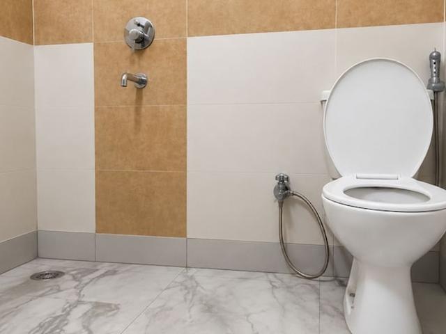 House for rent in Hariana