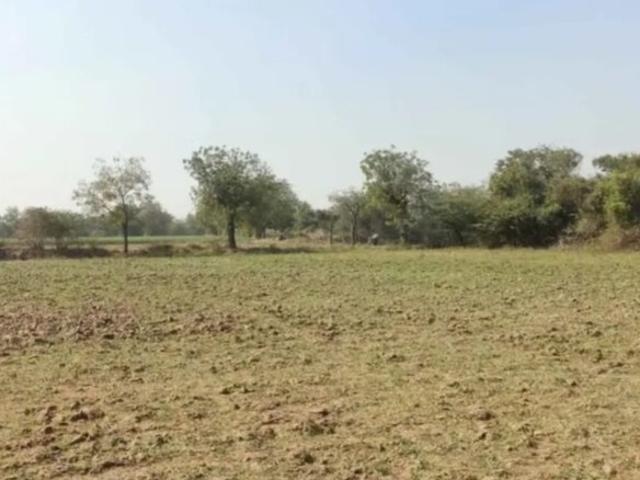 Land for sale in Mahesana, Gujarat