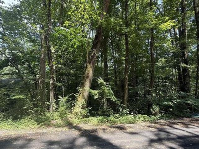 Land for sale in Grant, Alabama