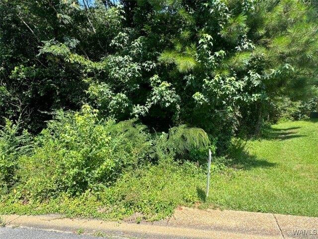 Land for sale in Fosters
