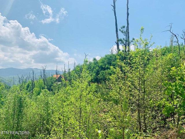 Land for sale in Tennessee