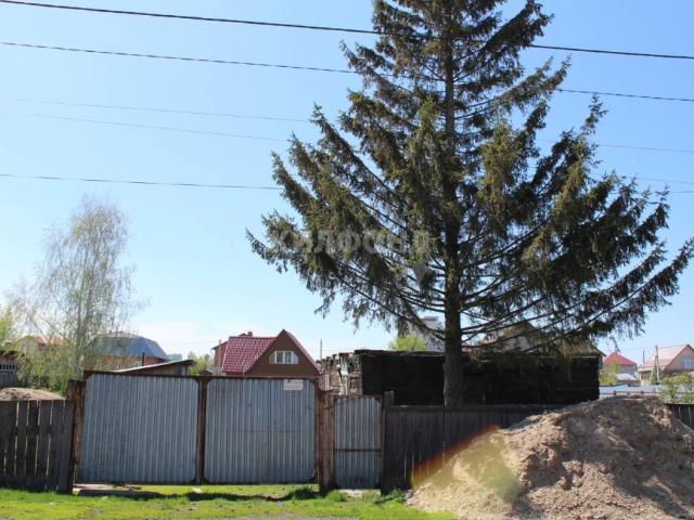Квартира продажа в Криводановка, Новосибирская область