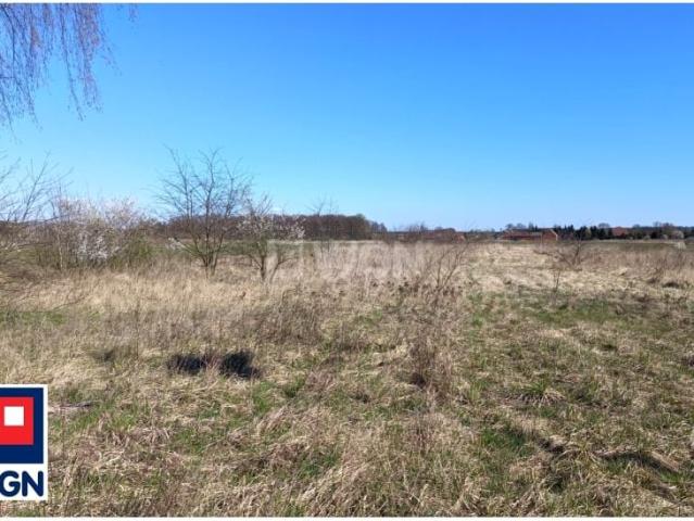 Grunt na sprzedaż w Przemków, Dolnośląskie