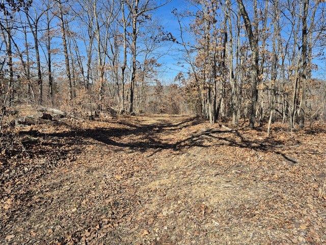 Land for sale in Lincoln, Missouri