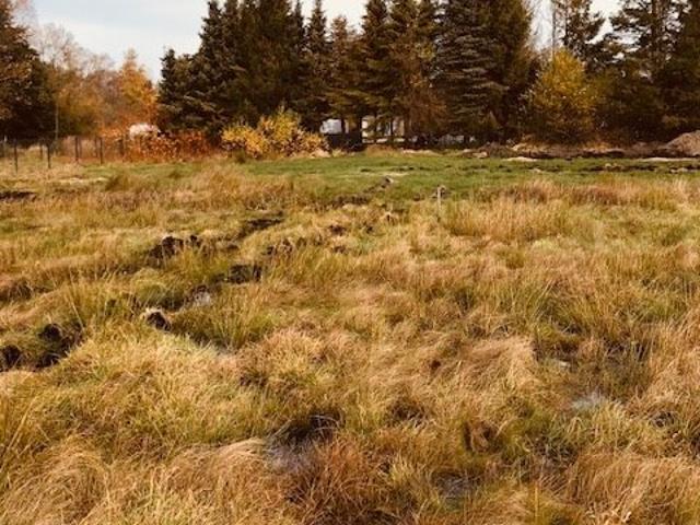 Grunt na sprzedaż w Krokowa, Pomorskie