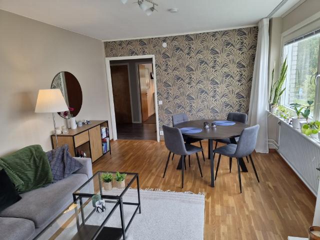 Lägenhet hyra i Umeå, Västerbotten
