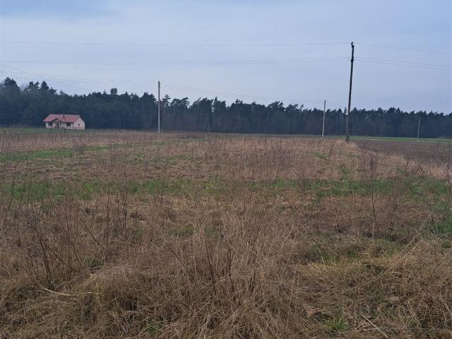 Grunt na sprzedaż w Krucz, Wielkopolskie