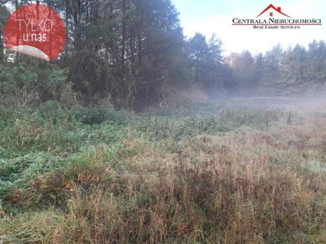 Grunt na sprzedaż w Wielka Nieszawka, Kujawsko-pomorskie