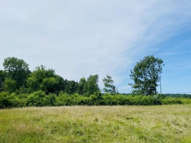 Land for sale in Three Oaks, Berrien County