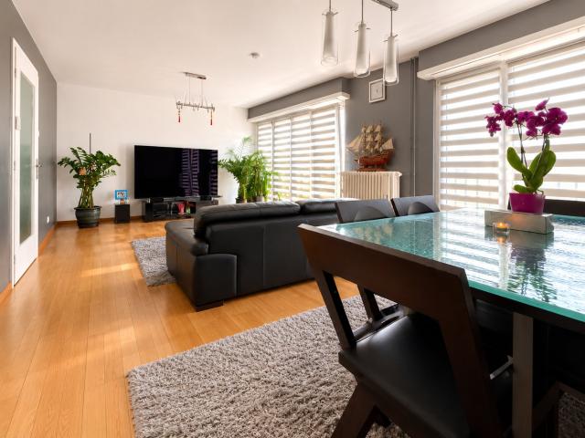 Appartement vente à Strasbourg, Hoenheim
