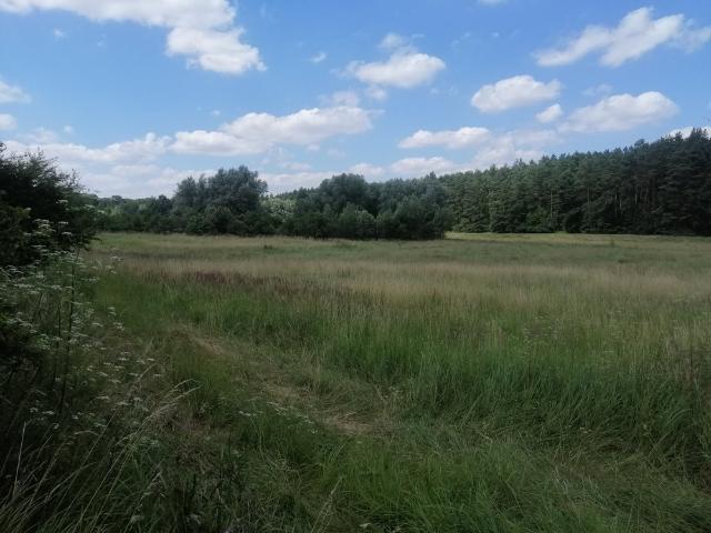 Grunt na sprzedaż w Krzęcin, Zachodniopomorskie