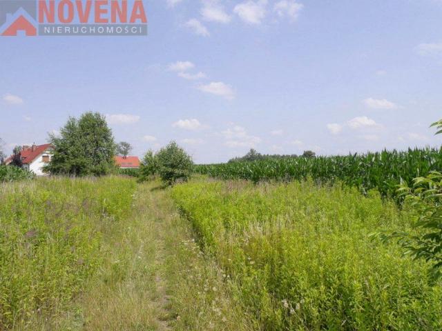 Grunt na sprzedaż w Krzeczyn, Dolnośląskie