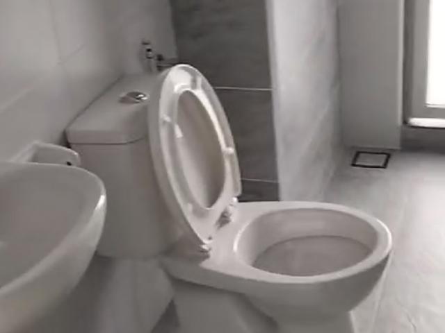 House for rent in Johore Bahru, Johor