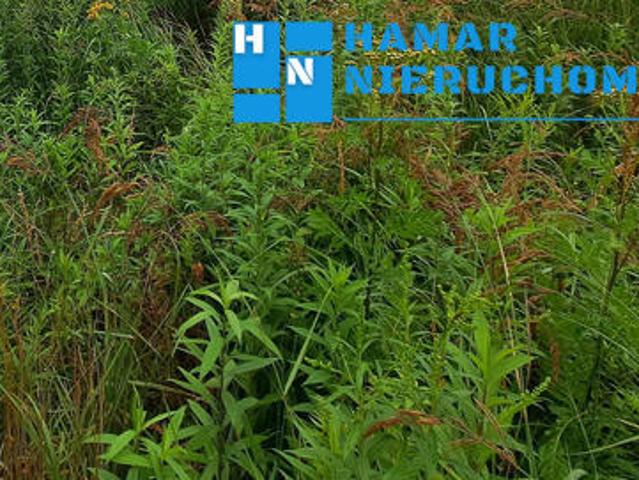 Grunt na sprzedaż w Raszyn, Mazowieckie