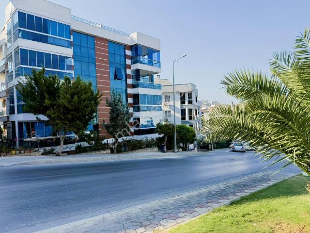 Kuşadasi, Aydin içerisinde kiralık mülk