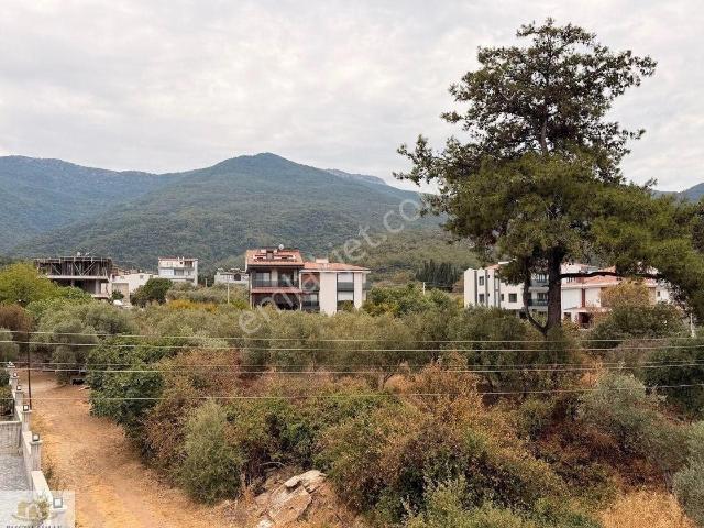 Kuşadasi, Aydin içerisinde satılık mülk