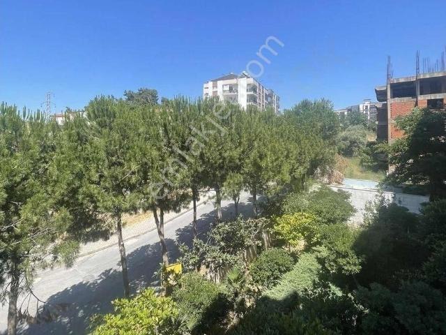 Kuşadasi, Aydin içerisinde kiralık mülk