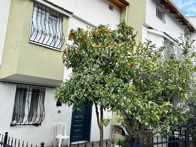 Kuşadasi, Aydin içerisinde kiralık Villa