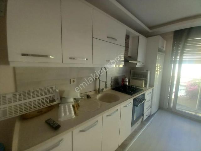 Hacıfeyzullah Mahallesi, Kuşadası içerisinde kiralık mülk
