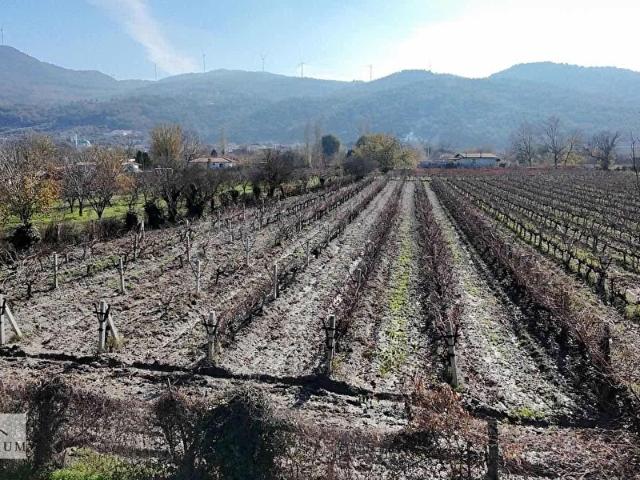 Kirazlı, Kuşadası içerisinde satılık Arsa