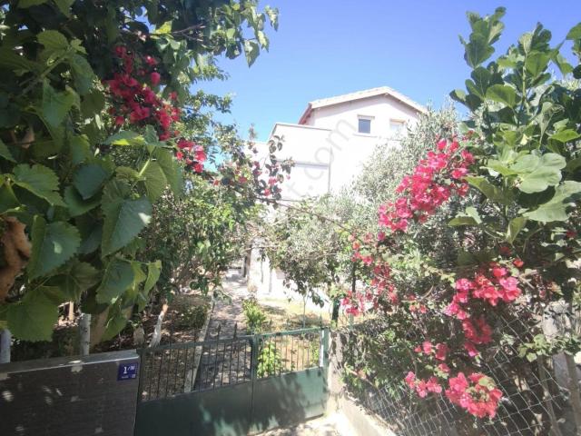 Kuşadasi, Aydin içerisinde kiralık Villa