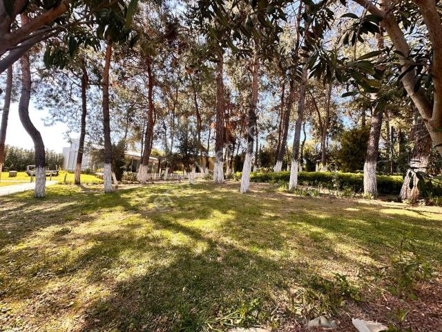 Kuşadasi, Aydin içerisinde kiralık Villa