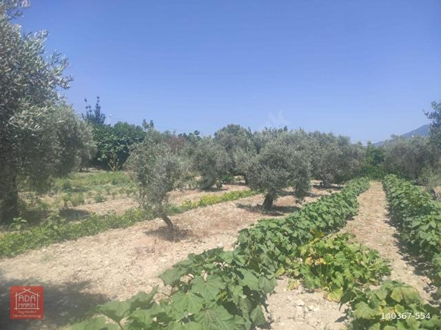 Kuşadası, Kuşadasi içerisinde satılık mülk