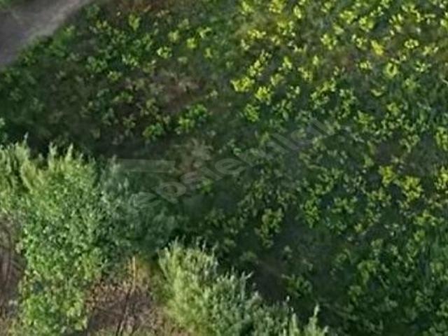 Kuşadasi, Aydin içerisinde satılık Arsa