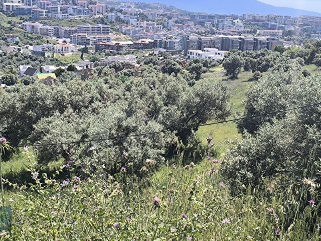 Kuşadasi, Aydin içerisinde satılık Arsa