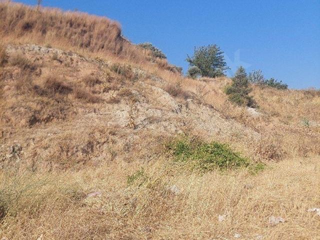 Konak Mahallesi, Söke içerisinde satılık Dükkan