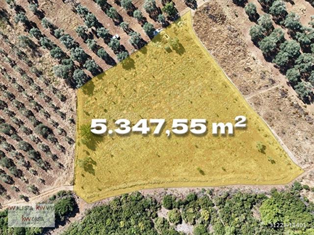 Selçuk, İzmir içerisinde satılık Arsa